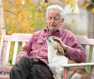 dog receiving gentle hands-on care