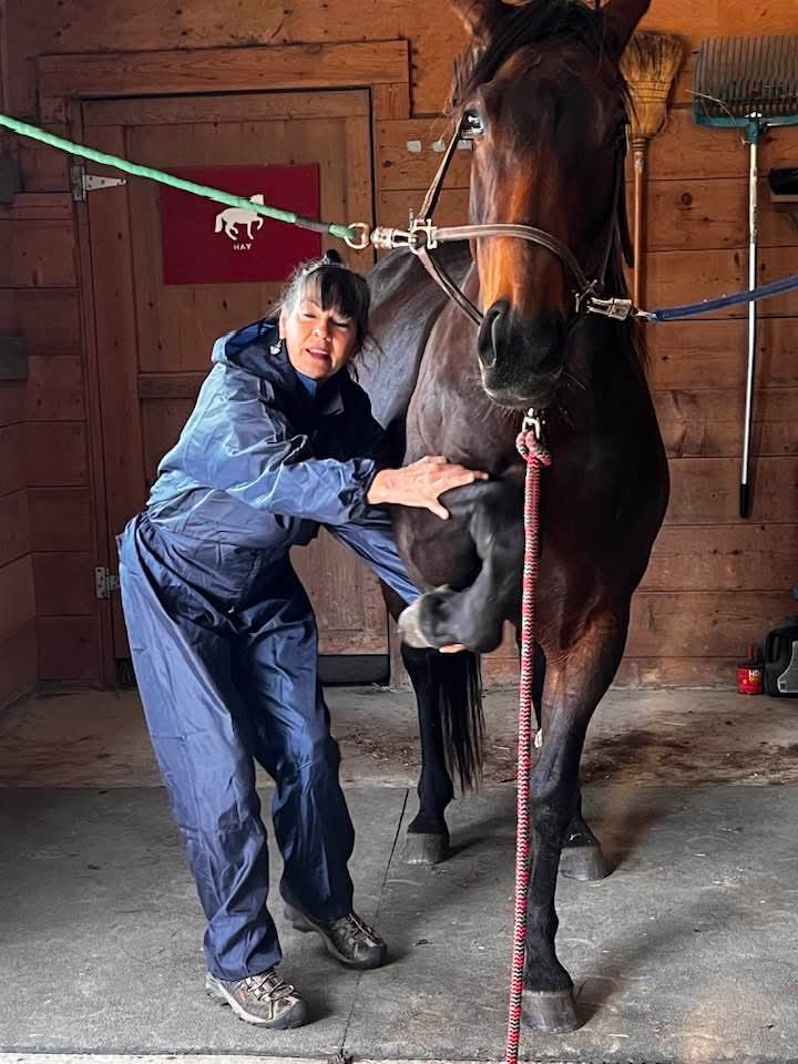 Susan Aldis Sharp with a canine client