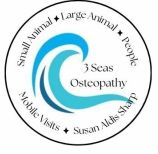 3 SEAS Osteopathy logo
